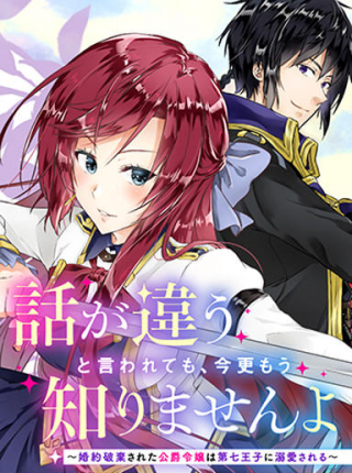 話が違うと言われても、今更もう知りませんよ 婚約破棄された公爵令嬢は第七王子に溺愛される