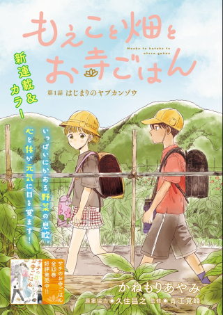 もえこと畑とお寺ごはん