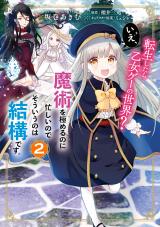 転生したら乙女ゲーの世界 いえ、魔術を極めるのに忙しいのでそういうのは結構です。
